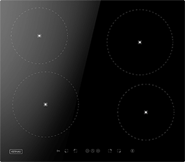 Induktionsfeld Reparatur Zwickau